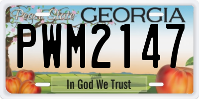 GA license plate PWM2147