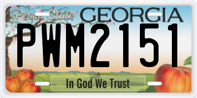 GA license plate PWM2151