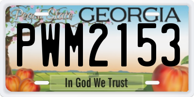 GA license plate PWM2153