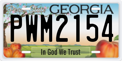 GA license plate PWM2154