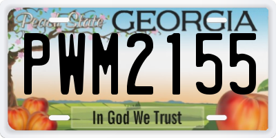 GA license plate PWM2155
