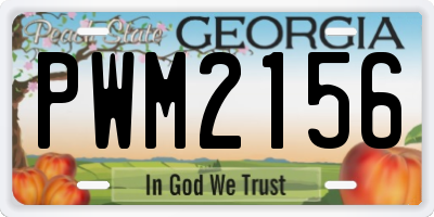 GA license plate PWM2156