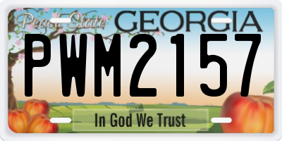 GA license plate PWM2157