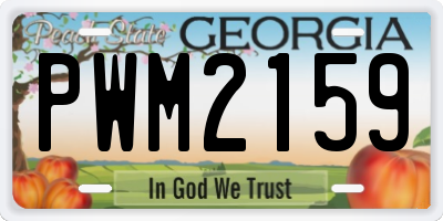 GA license plate PWM2159