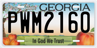 GA license plate PWM2160