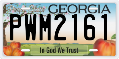 GA license plate PWM2161