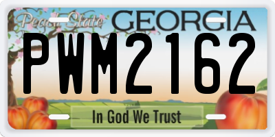 GA license plate PWM2162