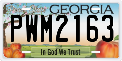GA license plate PWM2163