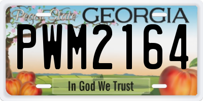 GA license plate PWM2164