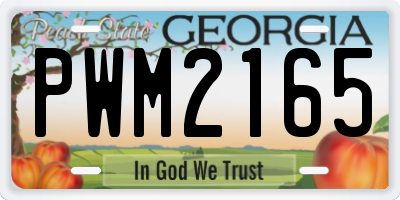 GA license plate PWM2165
