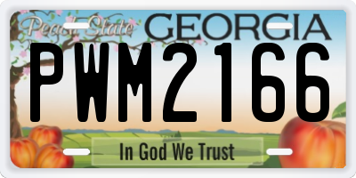 GA license plate PWM2166