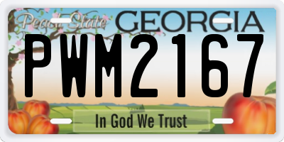GA license plate PWM2167