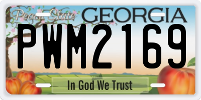 GA license plate PWM2169