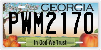 GA license plate PWM2170