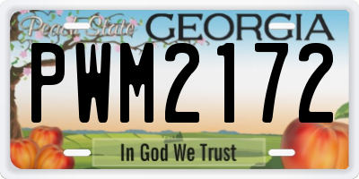 GA license plate PWM2172