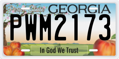 GA license plate PWM2173