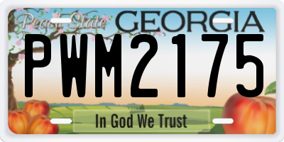 GA license plate PWM2175