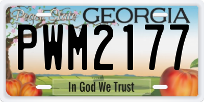 GA license plate PWM2177