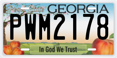 GA license plate PWM2178
