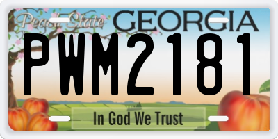 GA license plate PWM2181