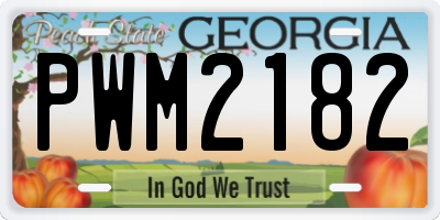 GA license plate PWM2182