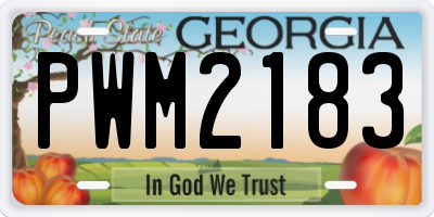 GA license plate PWM2183
