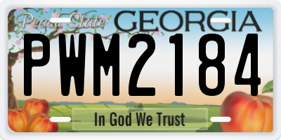GA license plate PWM2184