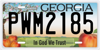 GA license plate PWM2185