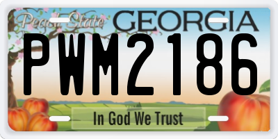 GA license plate PWM2186