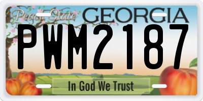 GA license plate PWM2187