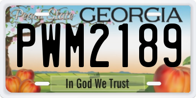 GA license plate PWM2189
