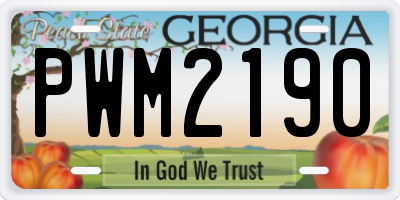 GA license plate PWM2190