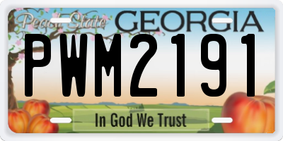 GA license plate PWM2191