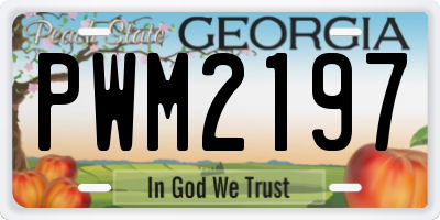 GA license plate PWM2197