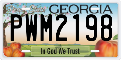 GA license plate PWM2198
