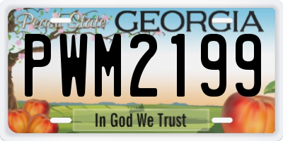 GA license plate PWM2199