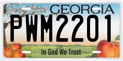 GA license plate PWM2201