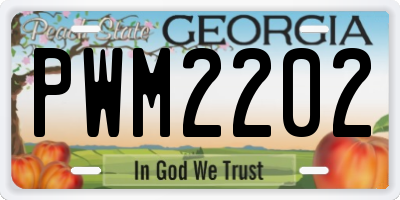 GA license plate PWM2202