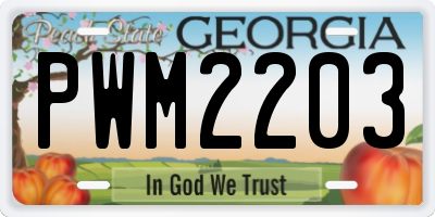 GA license plate PWM2203