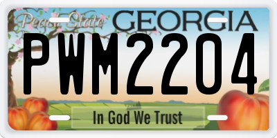 GA license plate PWM2204
