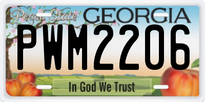 GA license plate PWM2206