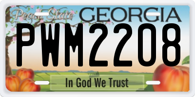 GA license plate PWM2208