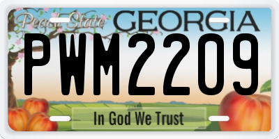 GA license plate PWM2209