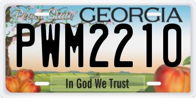 GA license plate PWM2210