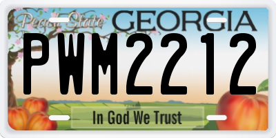 GA license plate PWM2212