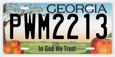 GA license plate PWM2213