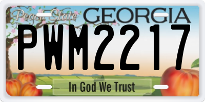 GA license plate PWM2217