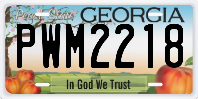 GA license plate PWM2218
