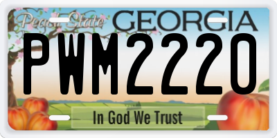 GA license plate PWM2220