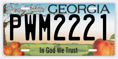 GA license plate PWM2221